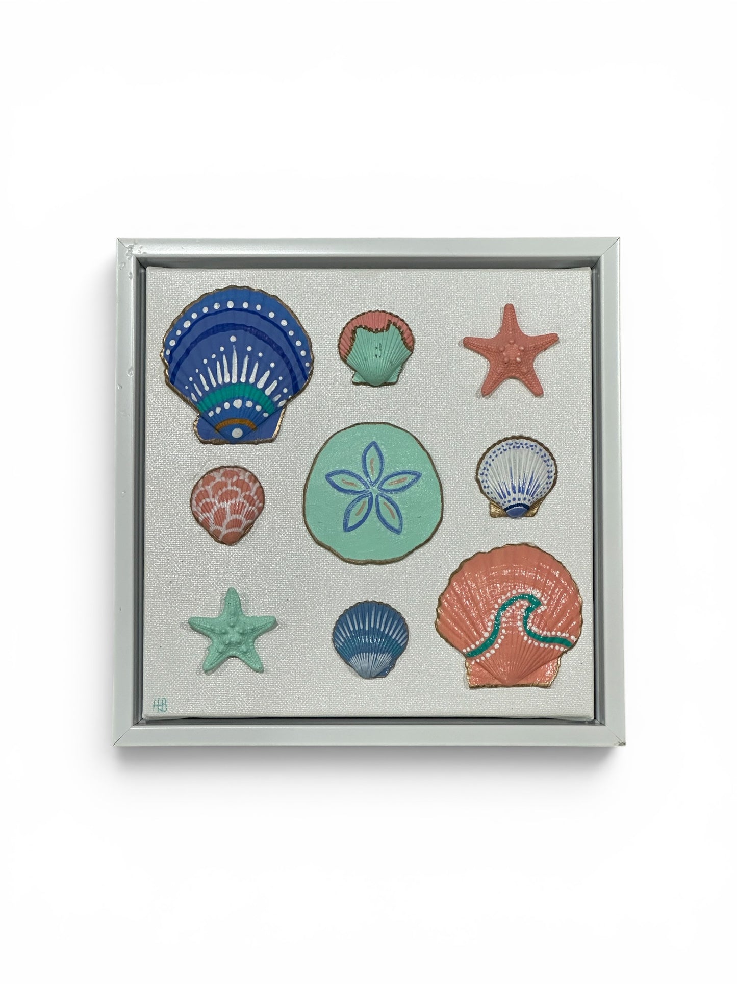 Framed Coastal Shell & Sand Dollar Art 